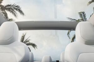 Grosses chaleurs : comment bien protéger votre voiture du soleil ?