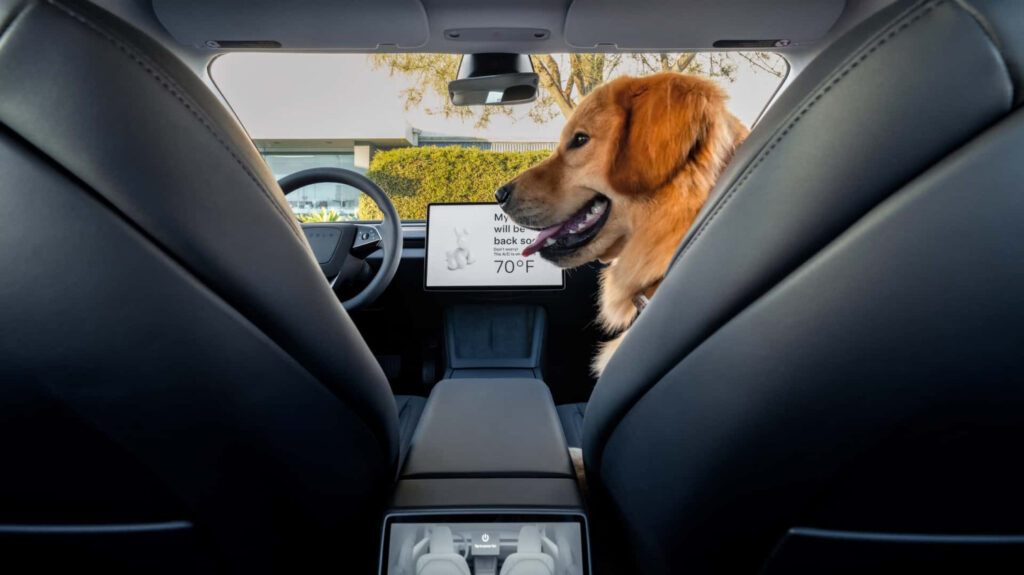 Propriétaires de Tesla : vigilance requise avec le mode Dog. 5 Propriétaires de Tesla, attention : la dernière mise à jour met en danger vos animaux