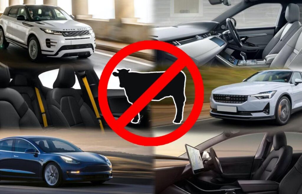 Pollution cuir véritable vs cuir vegan dans voitures électriques 26 Cuir végan et cuir véritable : le plus polluant n