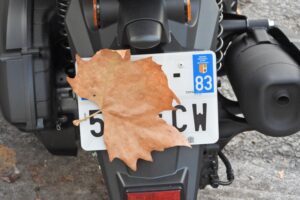 Plaque D