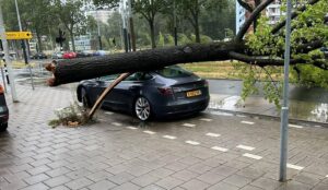 Une Tesla Model 3 résiste sans une égratignure à la chute d