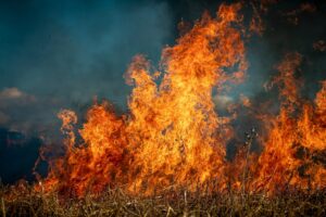 Feu Incendie