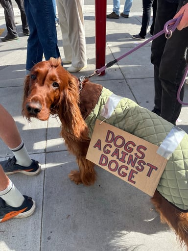 bafkreiakmnfdhwpkruqchpxjp7634m6sc54umza2sav2vaedqaamgzt5nm 1739947148 84 Cette incroyable mobilisation devant les concessions Tesla contre Elon Musk